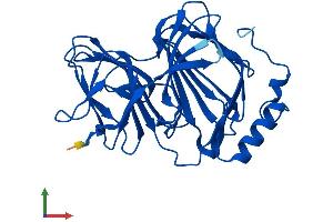 Protein Structure (PS) image for Pirin (PIR) (AA 1-290) protein (His tag) (ABIN7550798)