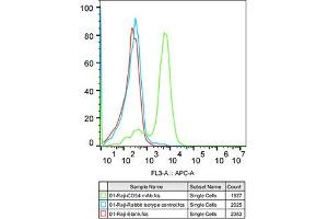 Flow cytometry: Raji cells were stained with Rabbit IgG isotype control (, 10 μg/mL, blue line) or ICAM-1/CD54 Rabbit mAb (ABIN7267941, 10 μg/mL green line), followed by Alexa Fluor 647 conjugated goat anti-rabbit pAb(1:600 dilution) staining.