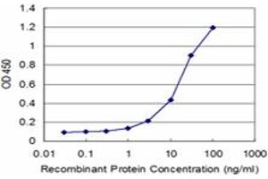 Detection limit for recombinant GST tagged CANX is approximately 1ng/ml as a capture antibody. (Calnexin 抗体  (AA 504-592))