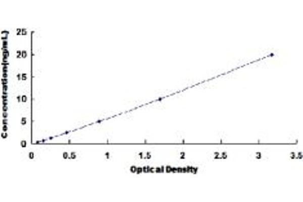 Prokineticin Receptor 2 ELISA 试剂盒