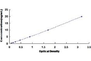 Typical standard curve (Prokineticin Receptor 2 ELISA 试剂盒)