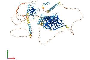 Protein Structure (PS) image for Oxysterol Binding Protein-Like 5 (OSBPL5) (AA 1-874) protein (His tag) (ABIN7565044)