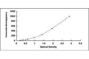 Typical standard curve (L1CAM ELISA 试剂盒)