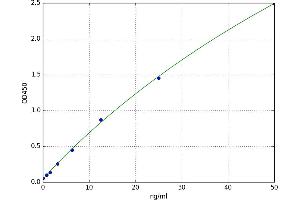 A typical standard curve (CNN2 ELISA 试剂盒)