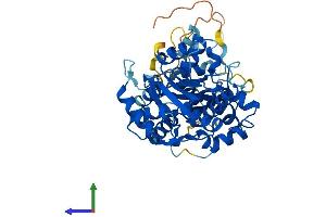 Protein Structure (PS) image for Nuclear Prelamin A Recognition Factor (NARF) (AA 1-456) protein (His tag) (ABIN7549635)