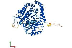 Protein Structure (PS) image for Tubulin, alpha 1B (TUBA1B) (AA 1-451) protein (His tag) (ABIN7544351)