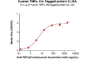 ELISA image for Tumor Necrosis Factor alpha (TNF alpha) (AA 77-233) protein (His tag) (ABIN6961133)