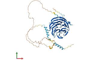 Protein Structure (PS) image for Pleiotropic Regulator 1 (PLRG1) (AA 1-514) protein (His tag) (ABIN7550787)