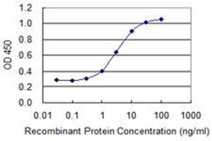 Detection limit for recombinant GST tagged GLRA1 is 0. (GLRA1 抗体  (AA 121-220))