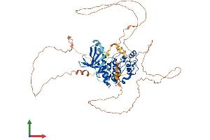 Protein Structure (PS) image for Male Germ Cell-Associated Kinase (MAK) (AA 1-622) protein (His tag) (ABIN7556888)