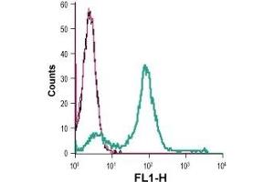 Cell surface detection of monocarboxylate transporter 1 in live intact human Jurkat T-cell leukemia cells: (black line) Cells.
