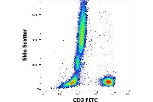 Flow cytometry surface staining pattern of human peripheral whole blood stained using anti-human CD3 (OKT3) FITC antibody (4 μL reagent / 100 μL of peripheral whole blood). (CD3 抗体  (FITC))