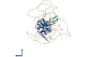 Protein Structure (PS) image for phosphodiesterase 3A, cGMP-Inhibited (PDE3A) (AA 1-1141) protein (His tag) (ABIN7565262)