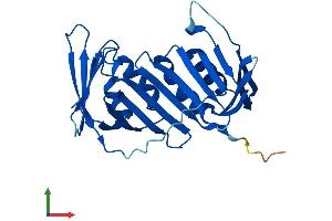 Protein Structure (PS) image for Proliferating Cell Nuclear Antigen (PCNA) (AA 1-261) protein (His tag) (ABIN7562921)