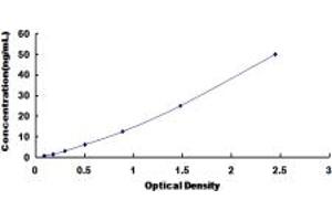 Typical standard curve (FABP3 ELISA 试剂盒)