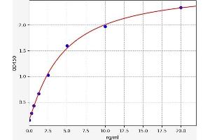 Typical standard curve (WNT5A ELISA 试剂盒)