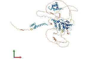 AlphaFold protein structure predicition of Human Recombinant DEPDC1 Protein, UniprotID Q5TB30 (DEPDC1 Protein (AA 1-811) (His tag))
