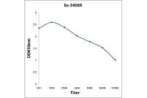Antigen: 0. (NCOA3 抗体  (pThr24))