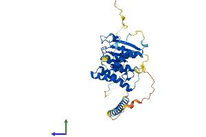 AlphaFold protein structure predicition of Mouse Recombinant Aimp2 Protein, UniprotID Q8R010 (AIMP2 Protein (AA 1-320) (His tag))