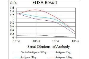 Black line: Control Antigen (100 ng), Purple line: Antigen(10 ng), Blue line: Antigen (50 ng), Red line: Antigen (100 ng), (Osteopontin 抗体  (AA 167-314))