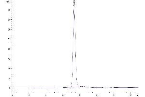 Size-exclusion chromatography-High Pressure Liquid Chromatography (SEC-HPLC) image for Sialic Acid Binding Ig-Like Lectin 10 (SIGLEC10) (AA 17-546), (R119A) protein (His-Avi Tag) (ABIN7275604)