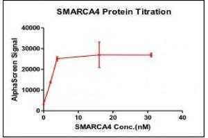 Activity Assay (AcA) image for SWI/SNF Related, Matrix Associated, Actin Dependent Regulator of Chromatin, Subfamily A, Member 4 (SMARCA4) (AA 1448-1569) protein (GST tag) (ABIN2669726)