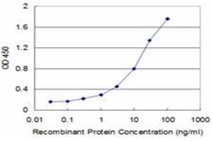 Detection limit for recombinant GST tagged FOXL1 is approximately 0. (FOXL1 抗体  (AA 221-319))