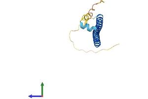 Protein Structure (PS) image for CAMP Responsive Element Binding Protein-Like 2 (CREBL2) (AA 1-120) protein (His tag) (ABIN7546766)