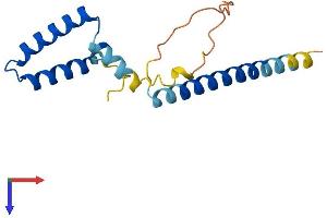 SPA17 Protein (AA 1-151) (His tag)
