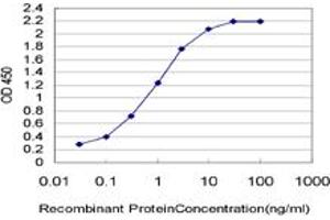 Detection limit for recombinant GST tagged TLX3 is approximately 0. (TLX3 抗体  (AA 192-291))