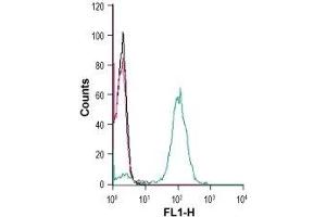 Flow Cytometry (FACS) image for anti-Chemokine (C-X3-C Motif) Ligand 1 (CX3CL1) (AA 6-19), (Extracellular) antibody (ABIN7043046)