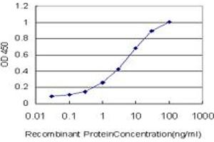 Detection limit for recombinant GST tagged BCL7C is approximately 0. (BCL7C 抗体  (AA 86-164))