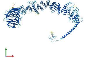 AlphaFold protein structure predicition of Human Recombinant VPS39 Protein, UniprotID Q96JC1