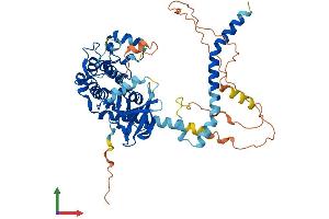 Protein Structure (PS) image for serine/threonine Kinase 4 (STK4) (AA 1-487) protein (His tag) (ABIN7555653)