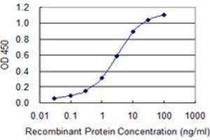 ELISA image for anti-Calpastatin (CAST) (AA 582-669) antibody (ABIN514013)