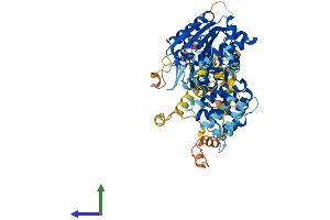 AlphaFold protein structure predicition of Mouse Recombinant Serac1 Protein, UniprotID Q3U213