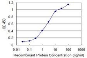 Detection limit for recombinant GST tagged CSPG5 is 0. (CSPG5 抗体  (AA 445-539))