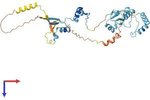 AlphaFold protein structure predicition of Human Recombinant HSP90AA5P Protein, UniprotID Q58FG0 (HSP90AA5P Protein (AA 1-334) (His tag))