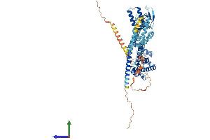 Protein Structure (PS) image for Cyclic Nucleotide Gated Channel alpha 3 (CNGA3) (AA 1-631) protein (His tag) (ABIN7565106)