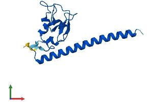 AlphaFold protein structure predicition of Human Recombinant BIRC5 Protein, UniprotID O15392