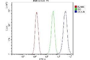 Flow Cytometry analysis of 293T cells using anti-OTULIN antibody (ABIN7601854). (FAM105B 抗体  (AA 49-352))