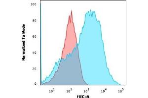 Flow Cytometric Analysis of HEK293 cells using Neurofilament Mouse Monoclonal Antibody (NE14) followed by goat anti-Mouse IgG-CF488 (Blue); Isotype control (Red). (NEFH 抗体)