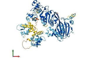 Protein Structure (PS) image for Diacylglycerol Kinase, alpha 80kDa (DGKA) (AA 1-730) protein (His tag) (ABIN7562647)