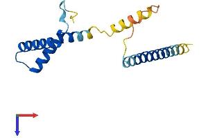 SPA17 Protein (AA 1-149) (His tag)