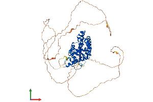 AlphaFold protein structure predicition of Mouse Recombinant Eya1 Protein, UniprotID P97767