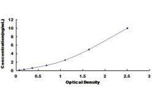 Rhodopsin (RHO) ELISA Kit