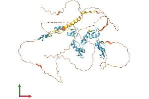 Protein Structure (PS) image for Zinc Finger Protein 652 (ZNF652) (AA 1-606) protein (His tag) (ABIN7545824)