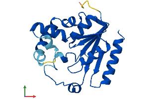 AlphaFold protein structure predicition of Mouse Recombinant Pmvk Protein, UniprotID Q9D1G2