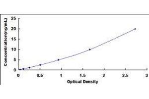 Typical standard curve (PLAA ELISA 试剂盒)