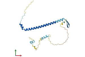 Protein Structure (PS) image for Nucleolar Protein 12 (NOL12) (AA 1-213) protein (His tag) (ABIN7549838)